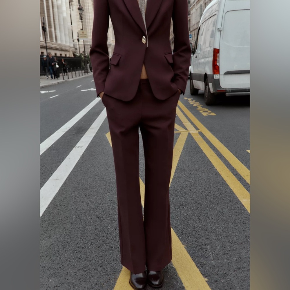 Zara Burgundy Straight Leg Pants